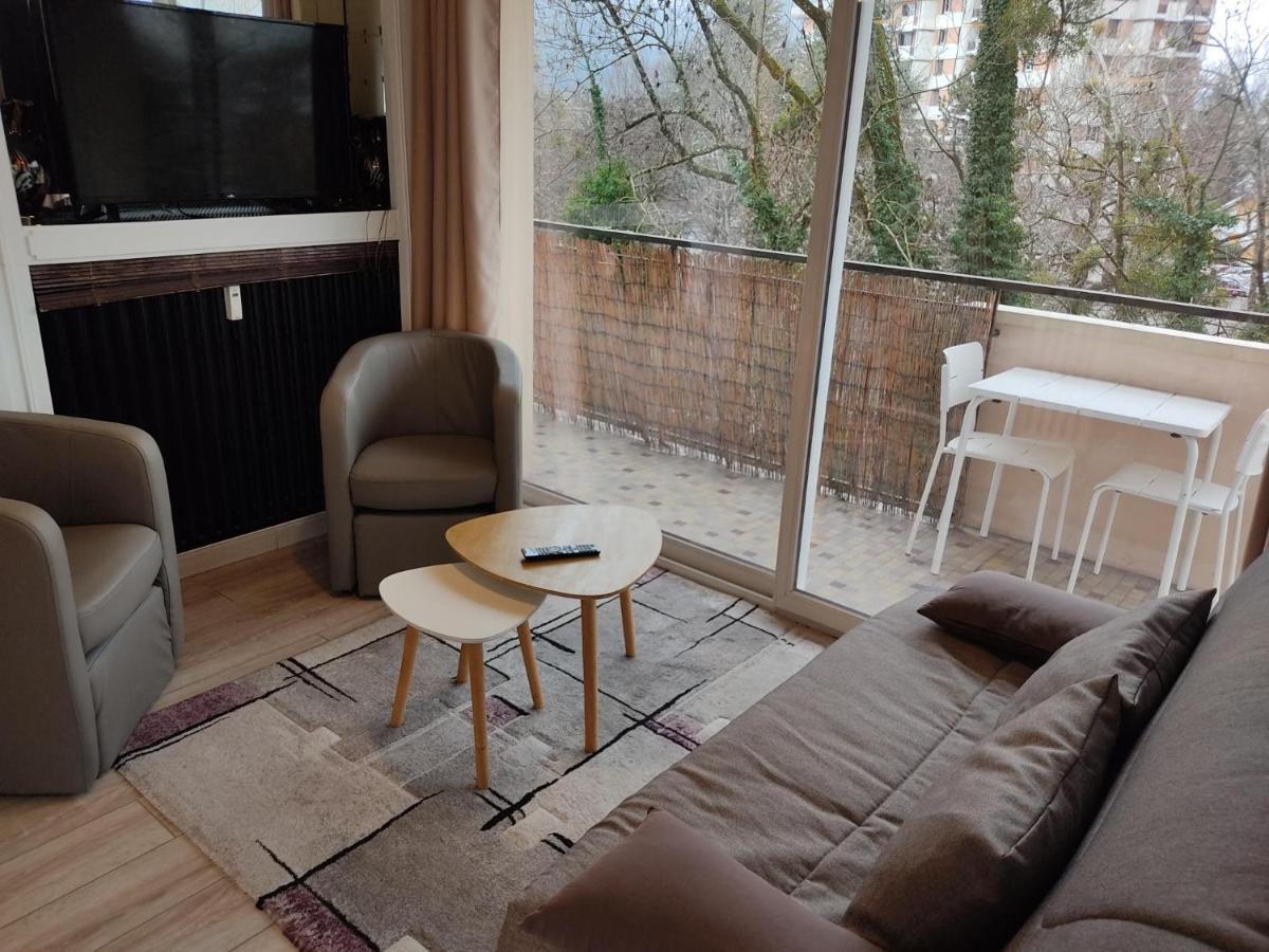 Charmant Appartement Au Bord Du Thiou - Аннесі Екстер'єр фото